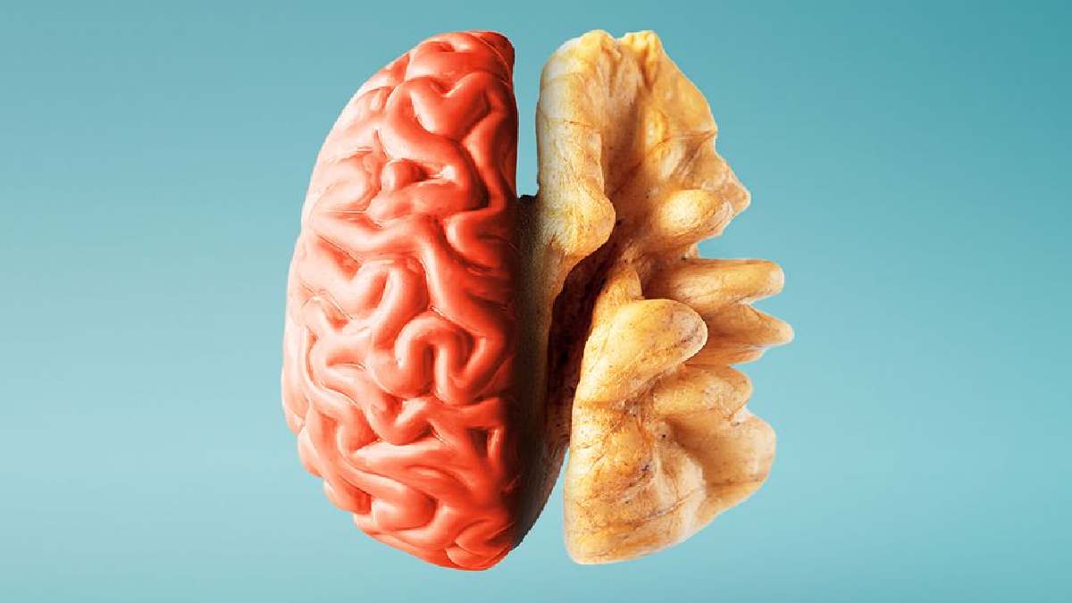 Health Benefits of Walnuts