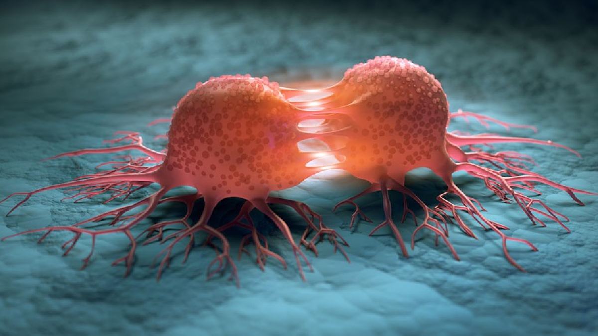 Health benefits of cherry Cancer Prevention